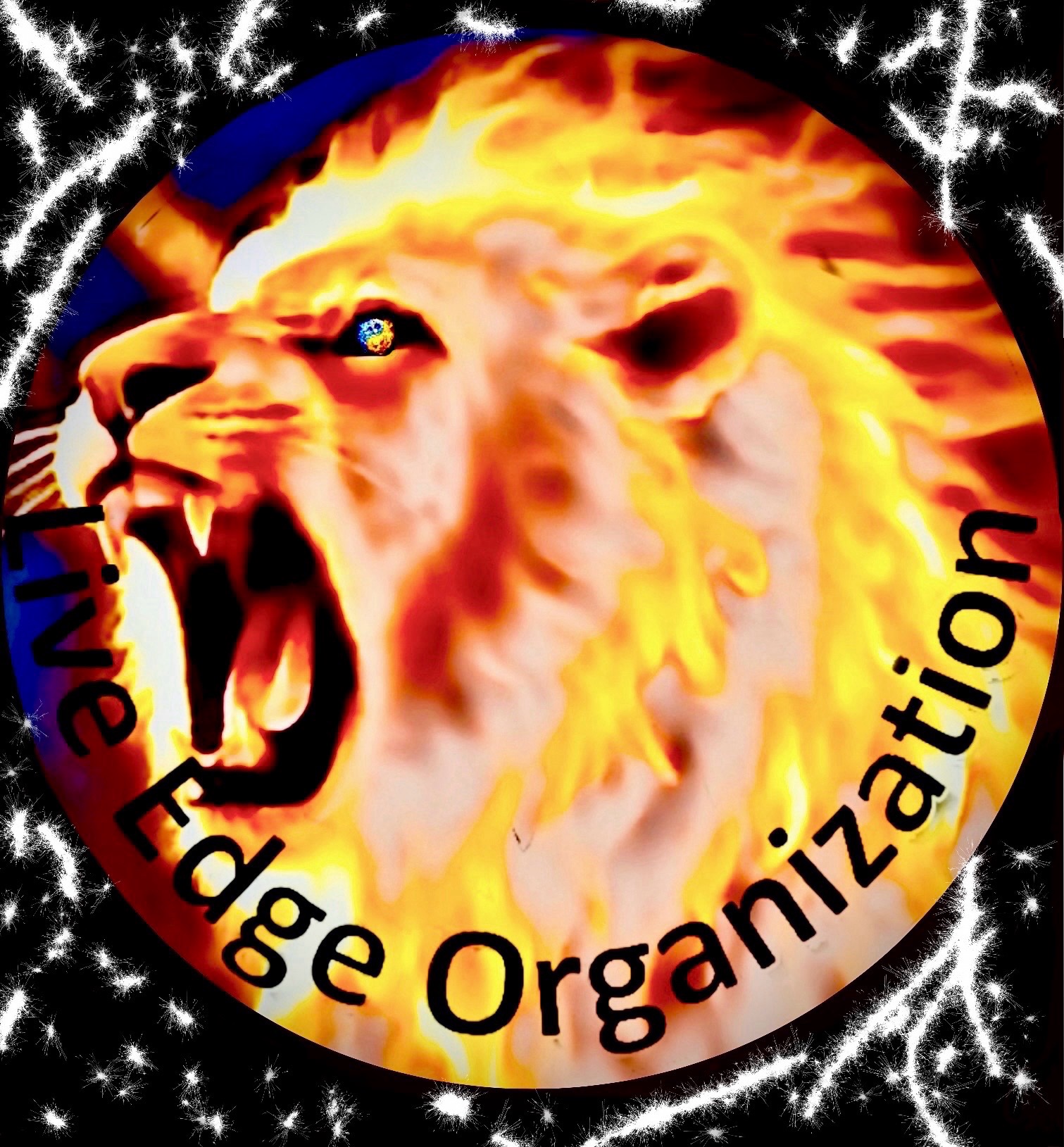 Live Edge Organization, LLC's logo