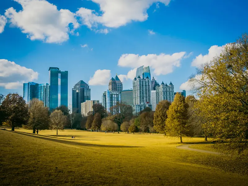 Pristine Path Cleaning Services