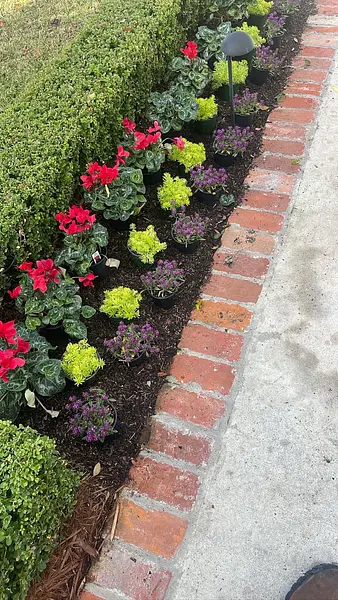 Image uploaded by service provider