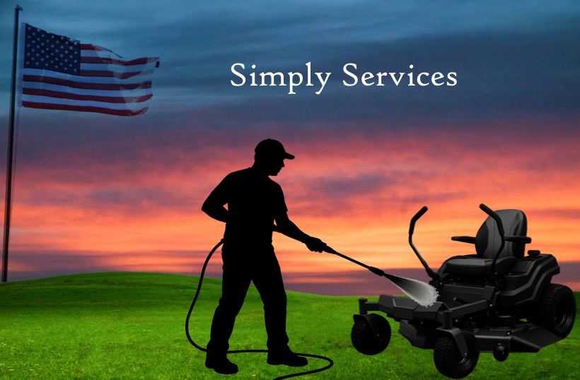 Simply Services's logo