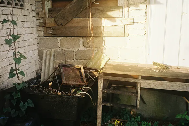 Uploaded image