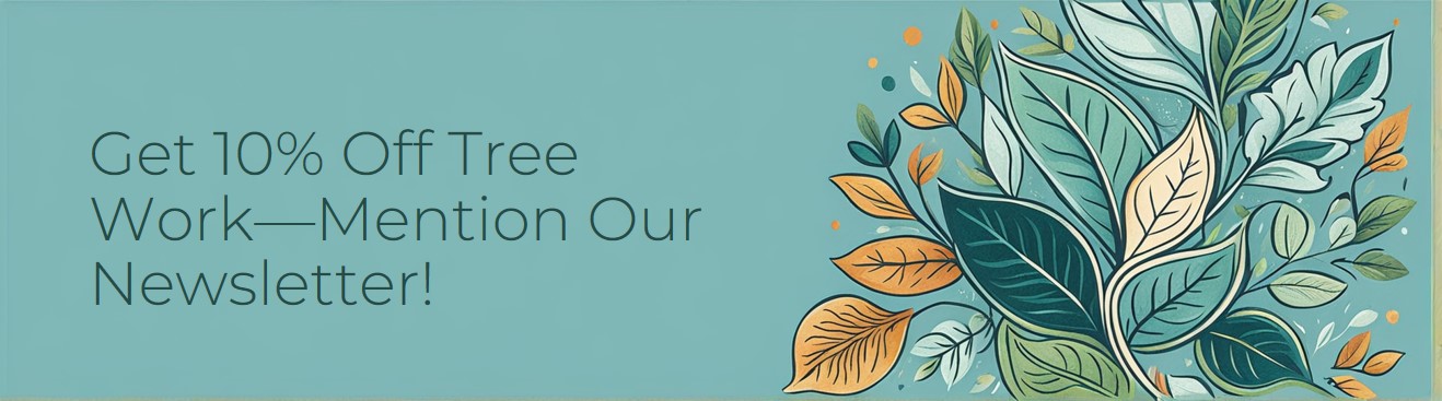 Get 10% off - avoid any tree damage
