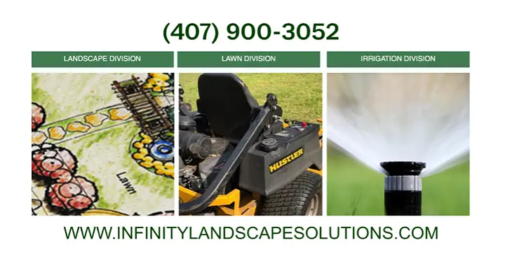 Image uploaded by service provider