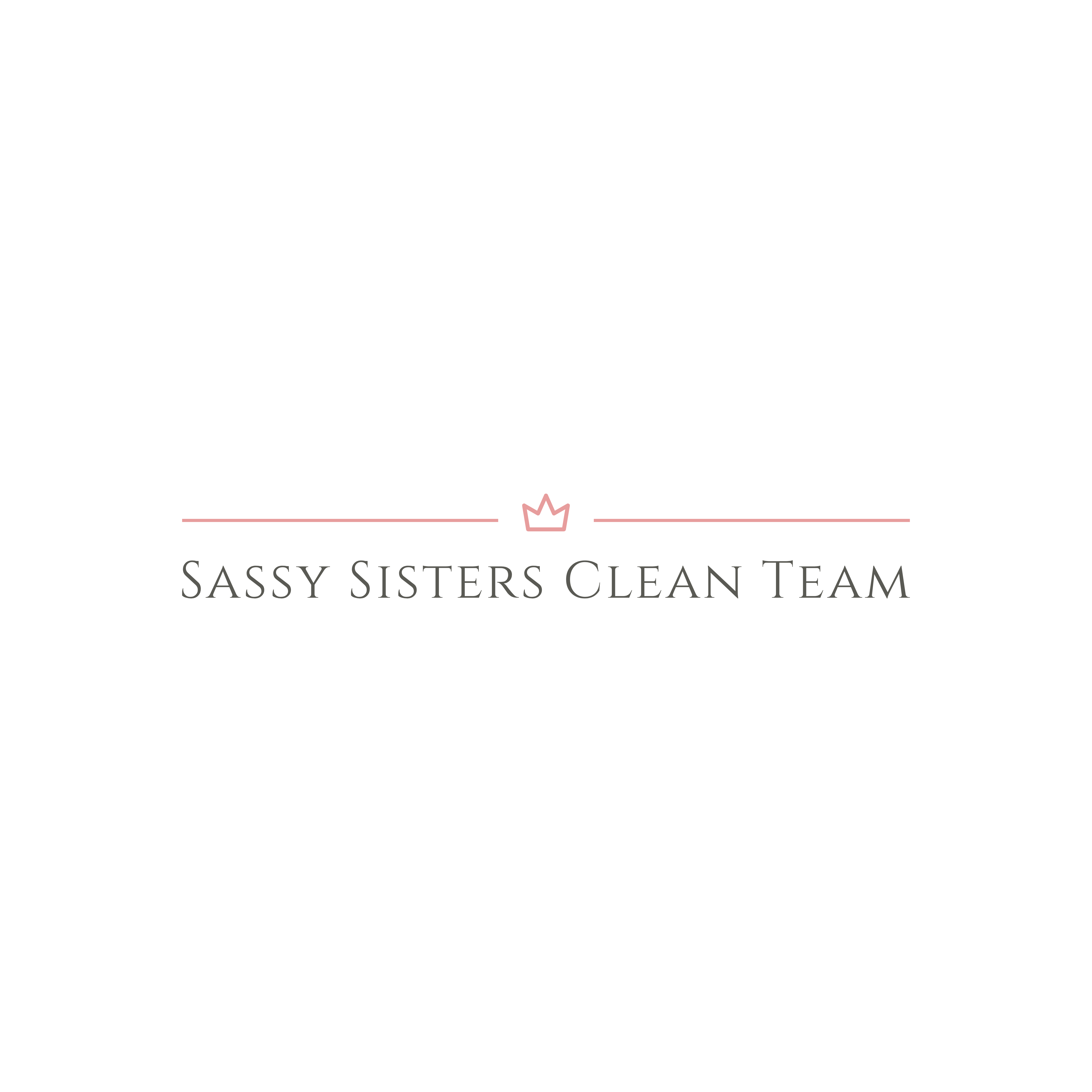 Sassy Sisters Clean Team Ltd's logo
