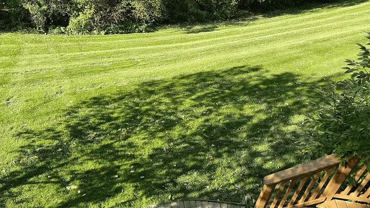 A lush green lawn with sunlight and tree shadows.