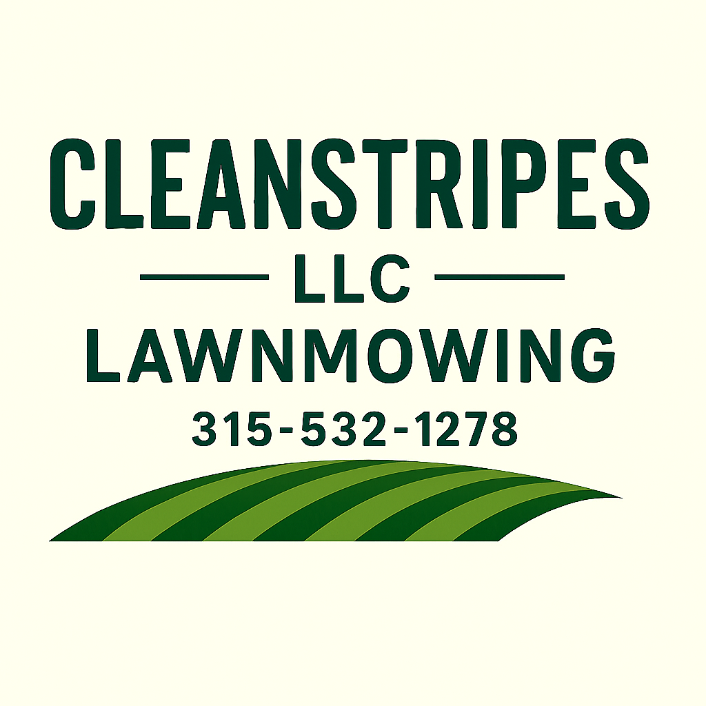 CleanStripes LLC's logo
