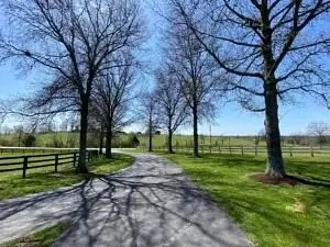 Image uploaded by service provider