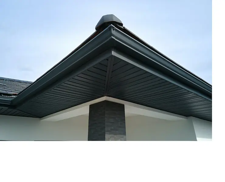 Uploaded image