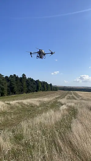 Image uploaded by service provider