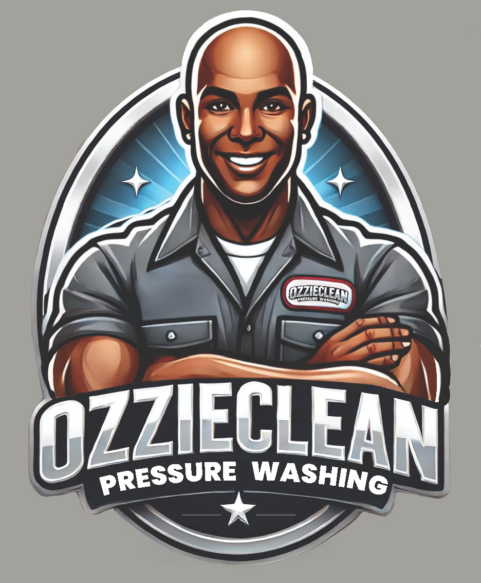 Ozzieclean's logo