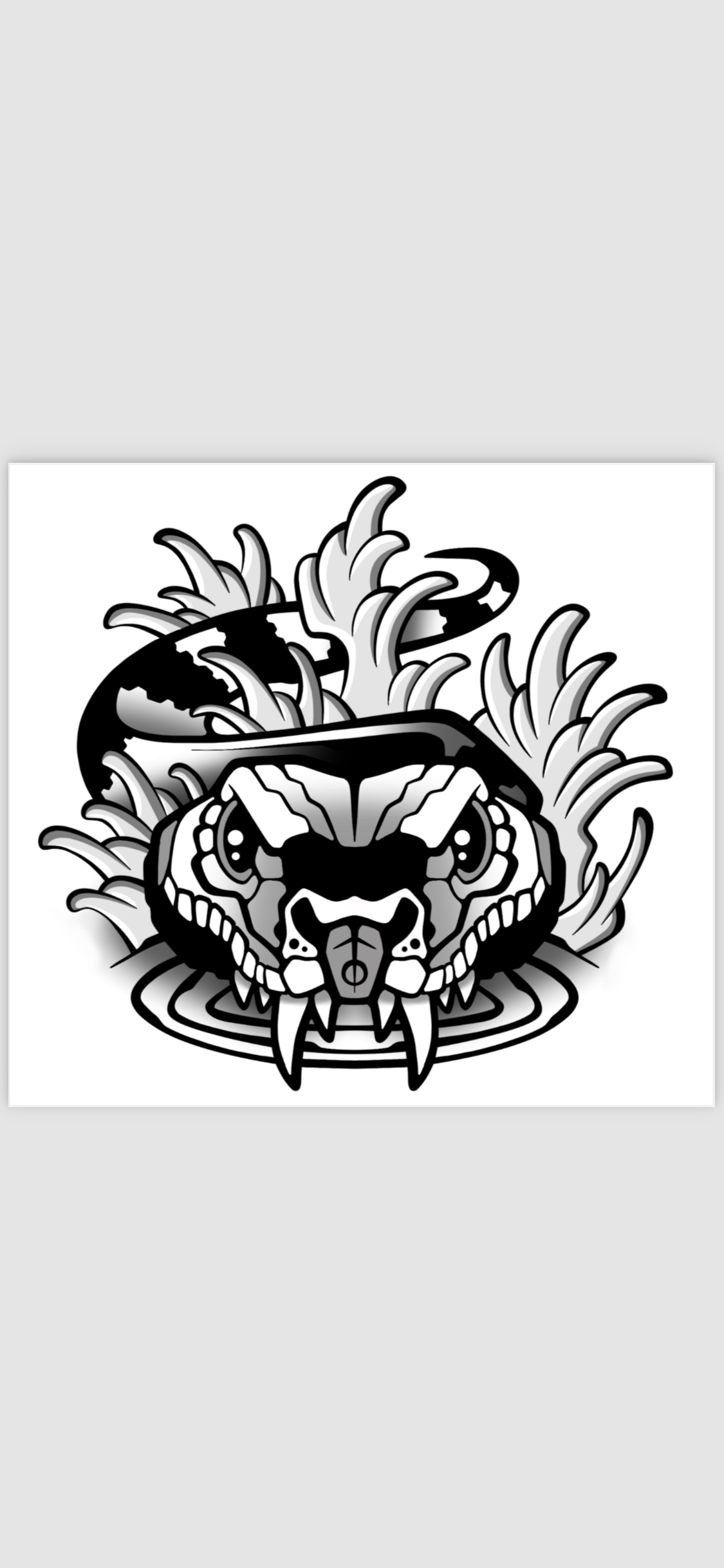 Water Snake Drain Service LLC's logo