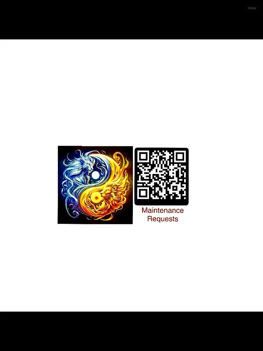Uploaded image