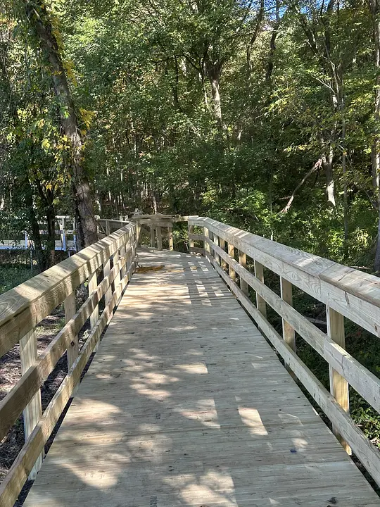 Wooden boardwalk surrounded by lush green trees in a forest, with sunlight casting shadows on the path.