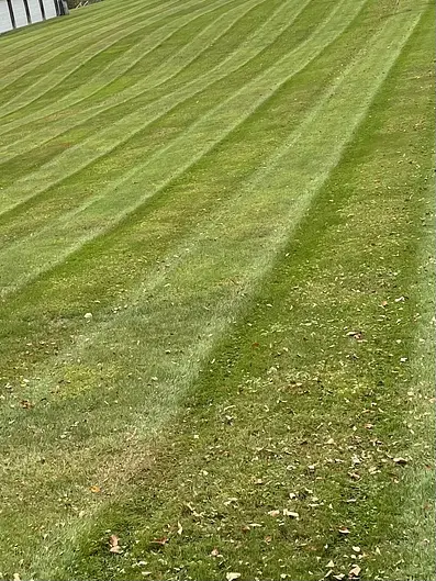 Image uploaded by service provider