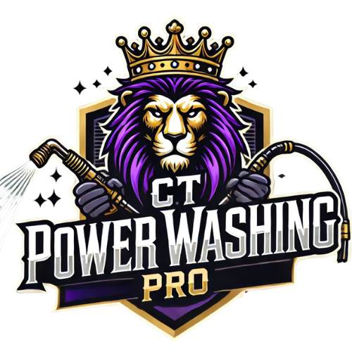 CT Power Washing Pro's logo