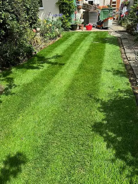 Image uploaded by service provider