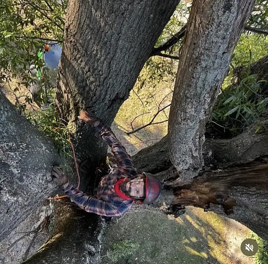 Image uploaded by service provider