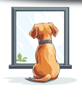 Glasstastic Window Cleaning Service LLC's logo