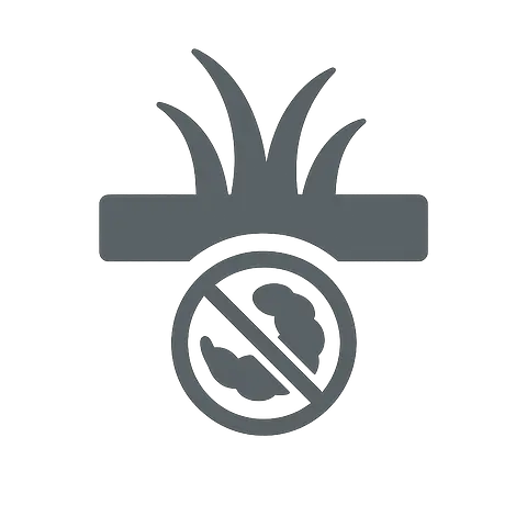 Uploaded image
