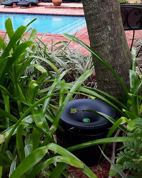 Uploaded image